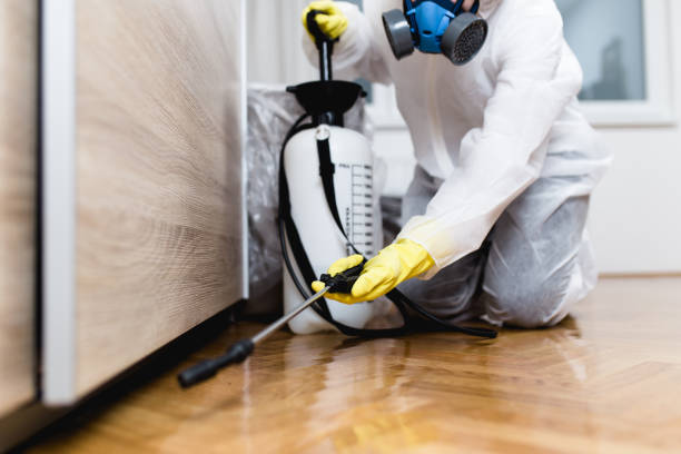 Best Residential Pest Control  in Zelienople, PA