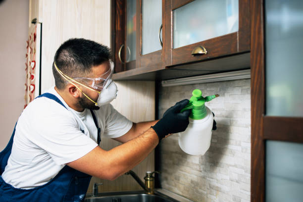 Best Mosquito Control Services  in Zelienople, PA
