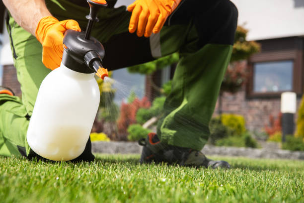 Wasp Removal Services in Zelienople, PA
